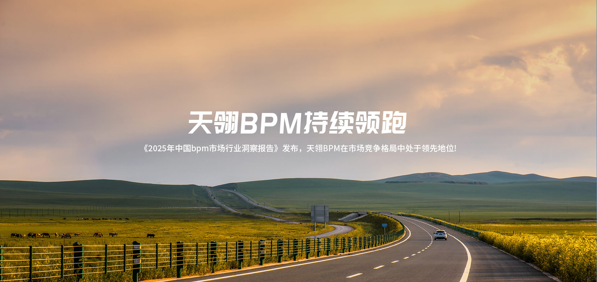 BPM行業報告